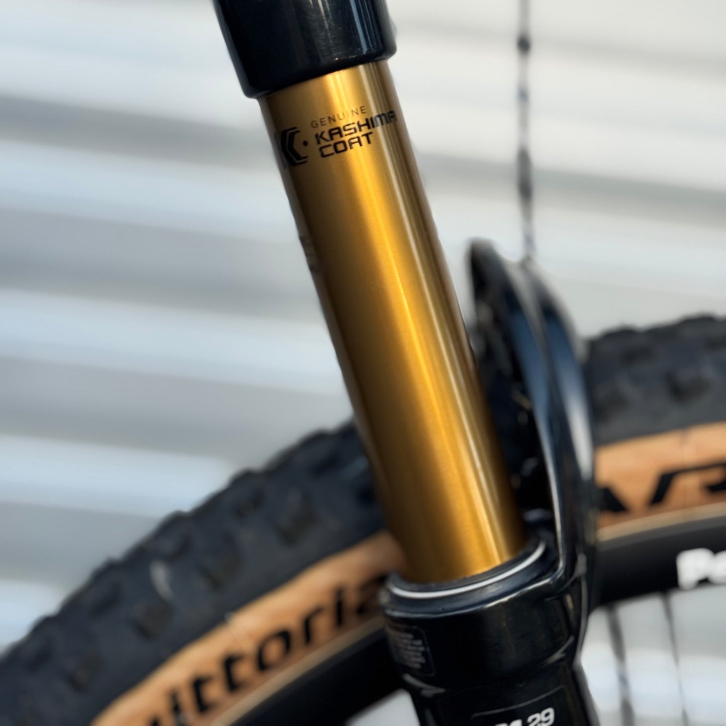 Personal Absolute Complete Bike - Demonstrator